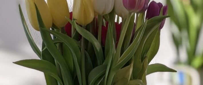 Rumänischer Muttertag Rumänischer Muttertag